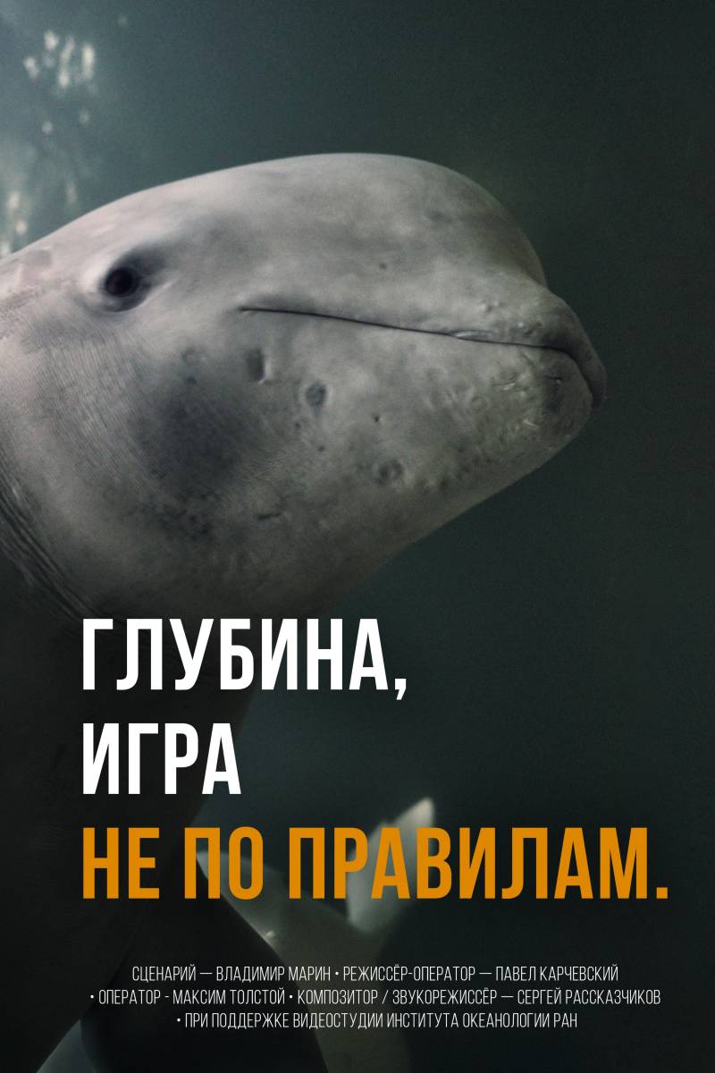 «Глубина — Игра не по правилам»