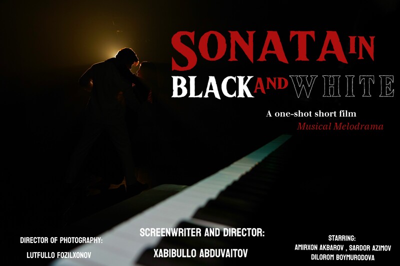 «Sonata in Black and White» (Соната в черно-белых тонах)