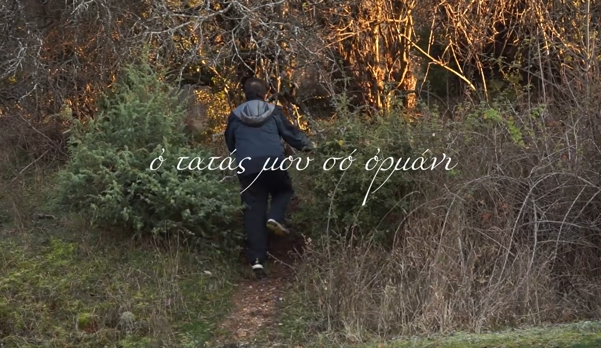 «My Father in the Woods» (Мой отец в лесу)