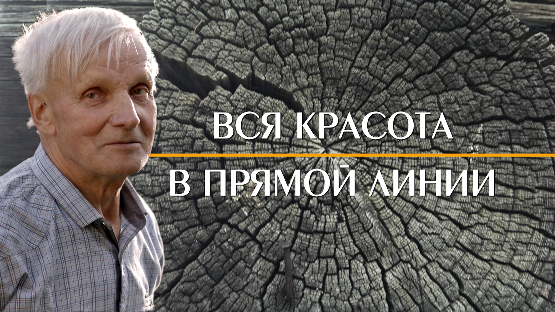 «Вся красота в прямой линии»